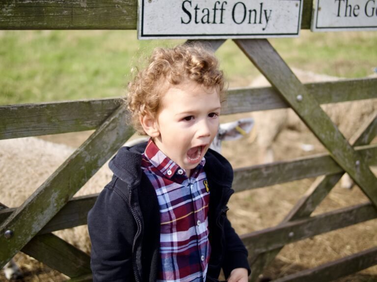 Family photographer Kent Portrait of a little boy with a checkered shirt who looks like he's screaming at someone off camera, at Kent Life Farm Park near Maidstone